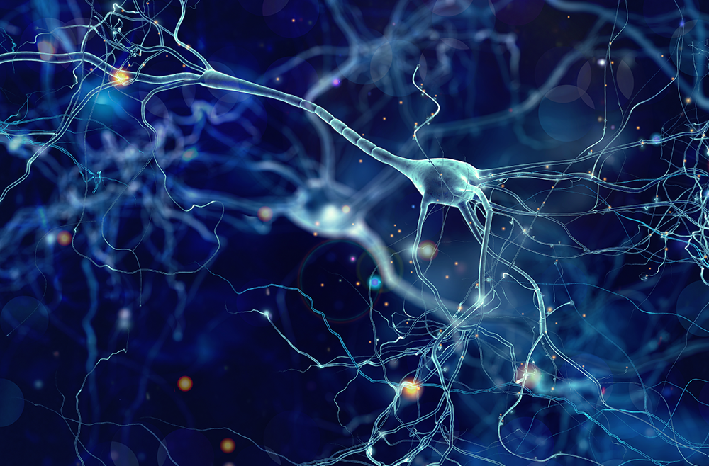 Neuro Neuro